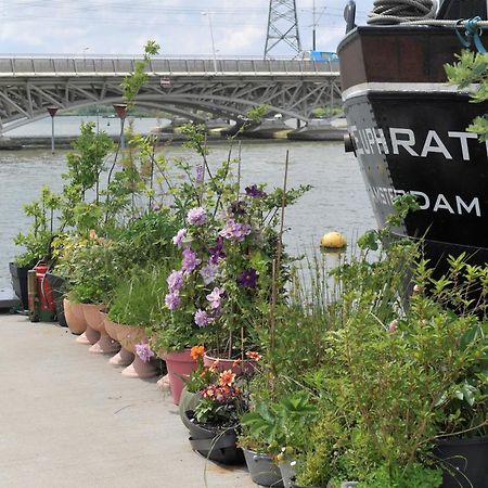 Diemerbrug Wheelhouse Euphrate Houseboat B&B 외부 사진